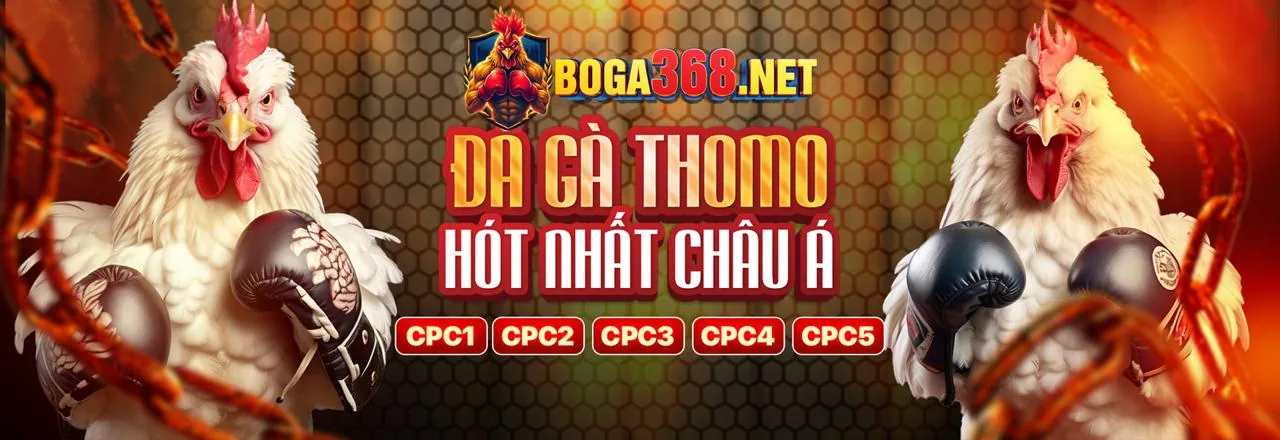 VND66 Trang Chủ Chính Thức - Ứng Dụng Cá Cược Trực Tuyến