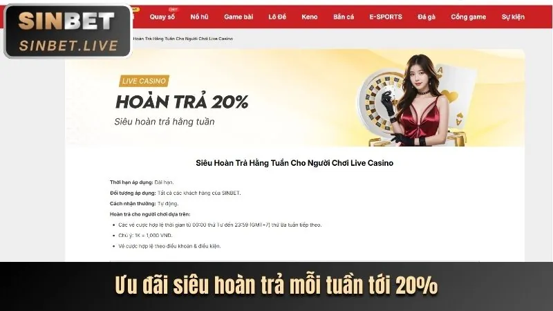 Khuyến Mãi Độc Quyền và Ưu Đãi Hấp Dẫn
